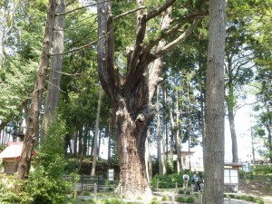 7e7ac1545e6c282199ac072b001069c9