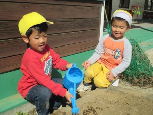 チューリップ６