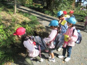 %e5%9c%92%e5%a4%96%e4%bf%9d%e8%82%b2%ef%bc%91