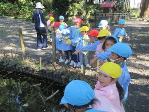 %e5%9c%92%e5%a4%96%e4%bf%9d%e8%82%b2%ef%bc%97