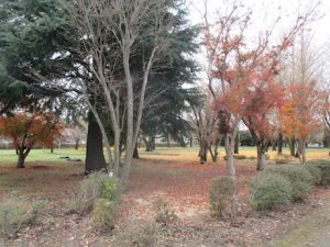 %e6%b0%b4%e8%be%b2%ef%bc%93